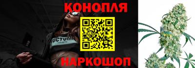 МДПВ Можга