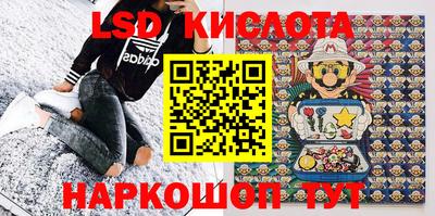 прущие грибы Моздок