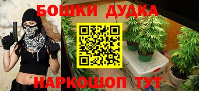 прущие грибы Моздок