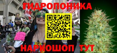 МДПВ Можга