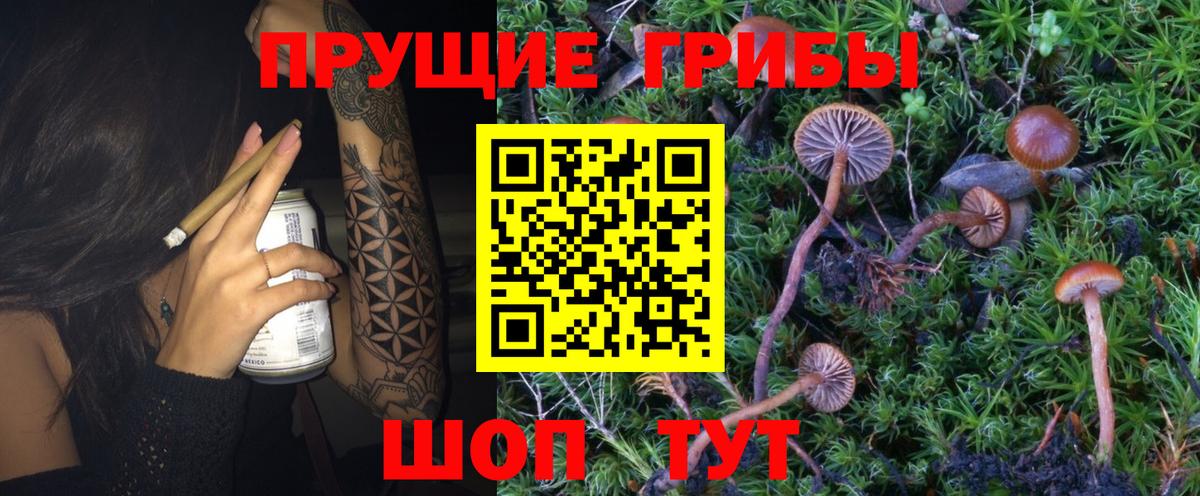 Вичуга  Галлюциногенные грибы Magic Shrooms  Галлюциногенные грибы MAGIC MUSHROOMS  Вход с VPN 
