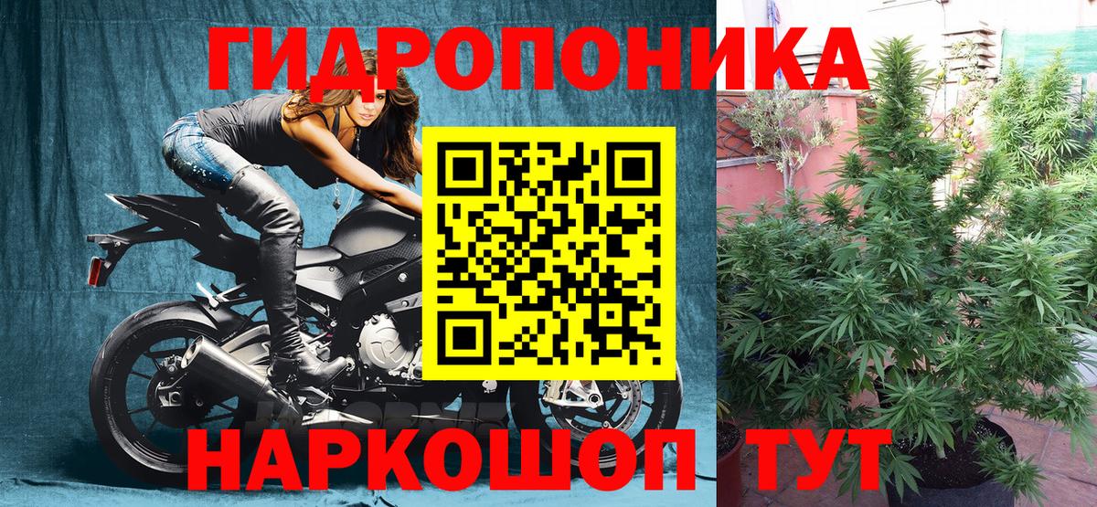 Бошки Шишки MAZAR  Конопля VHQ  Бошки марихуана VHQ  Вичуга  Вход с VPN 